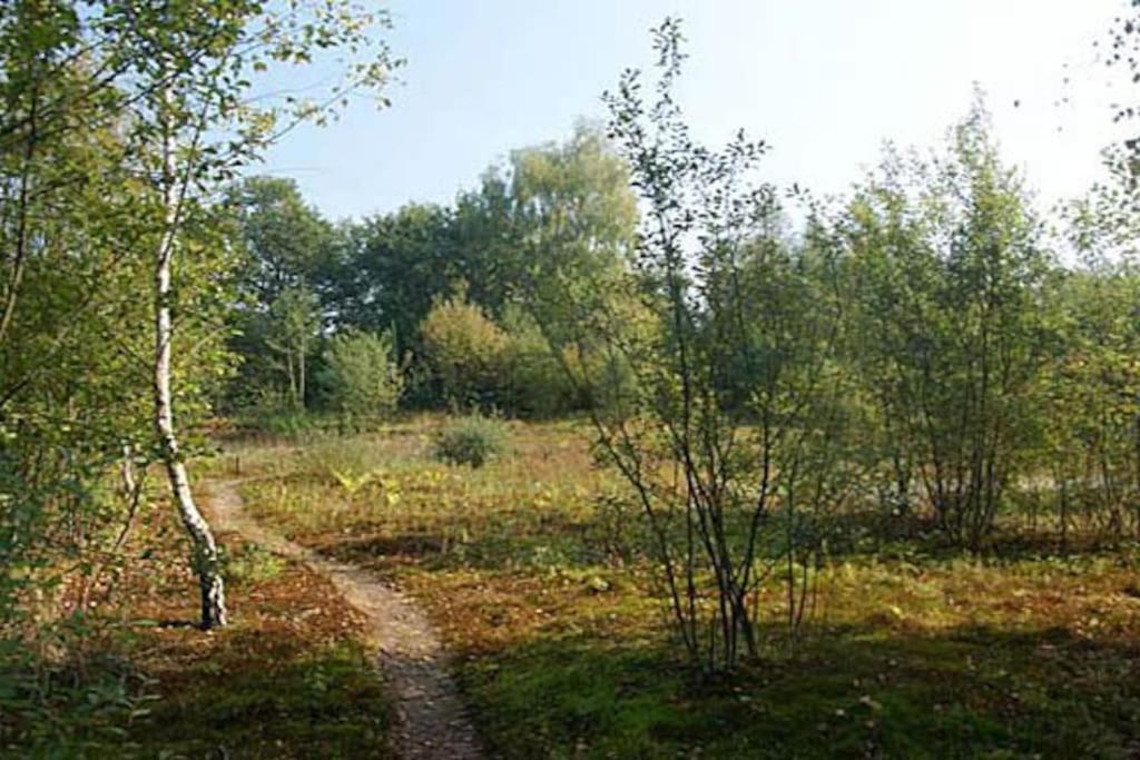 Sfeervol Chalet Midden In De Natuur Halle Exterior photo